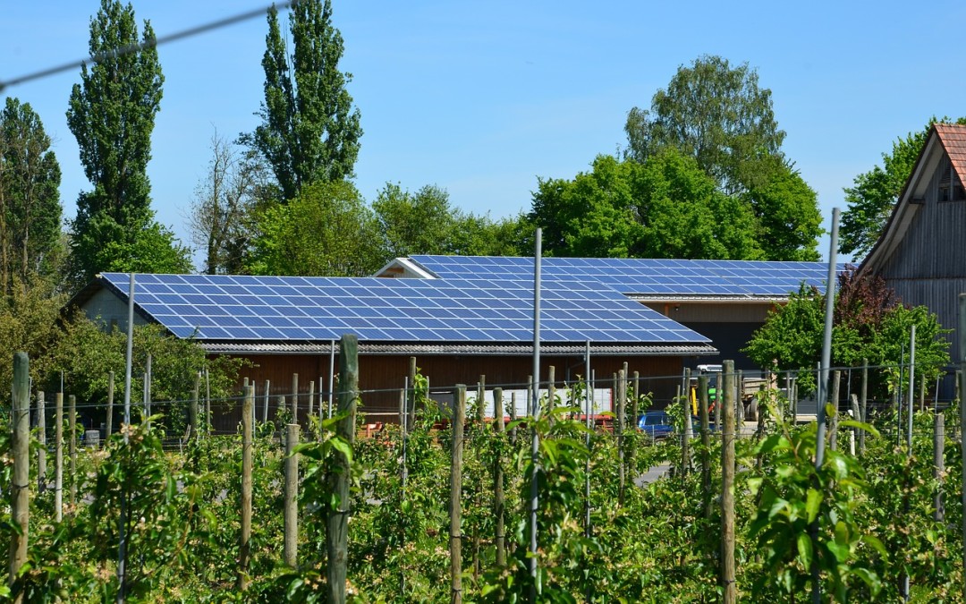 Welche Auswirkungen haben Photovoltaikanlagen auf die Umwelt?