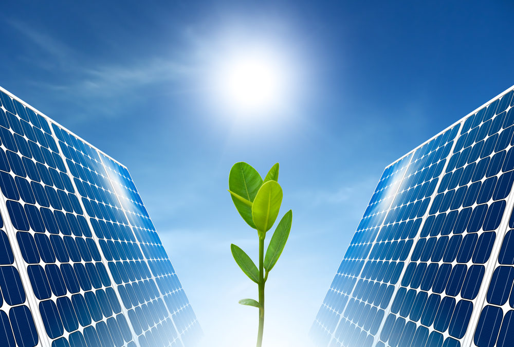 Umwelt und Photovoltaikanlagen